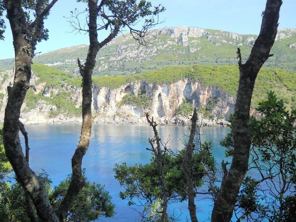 Vakantiehuis Cozy Eco Liapades